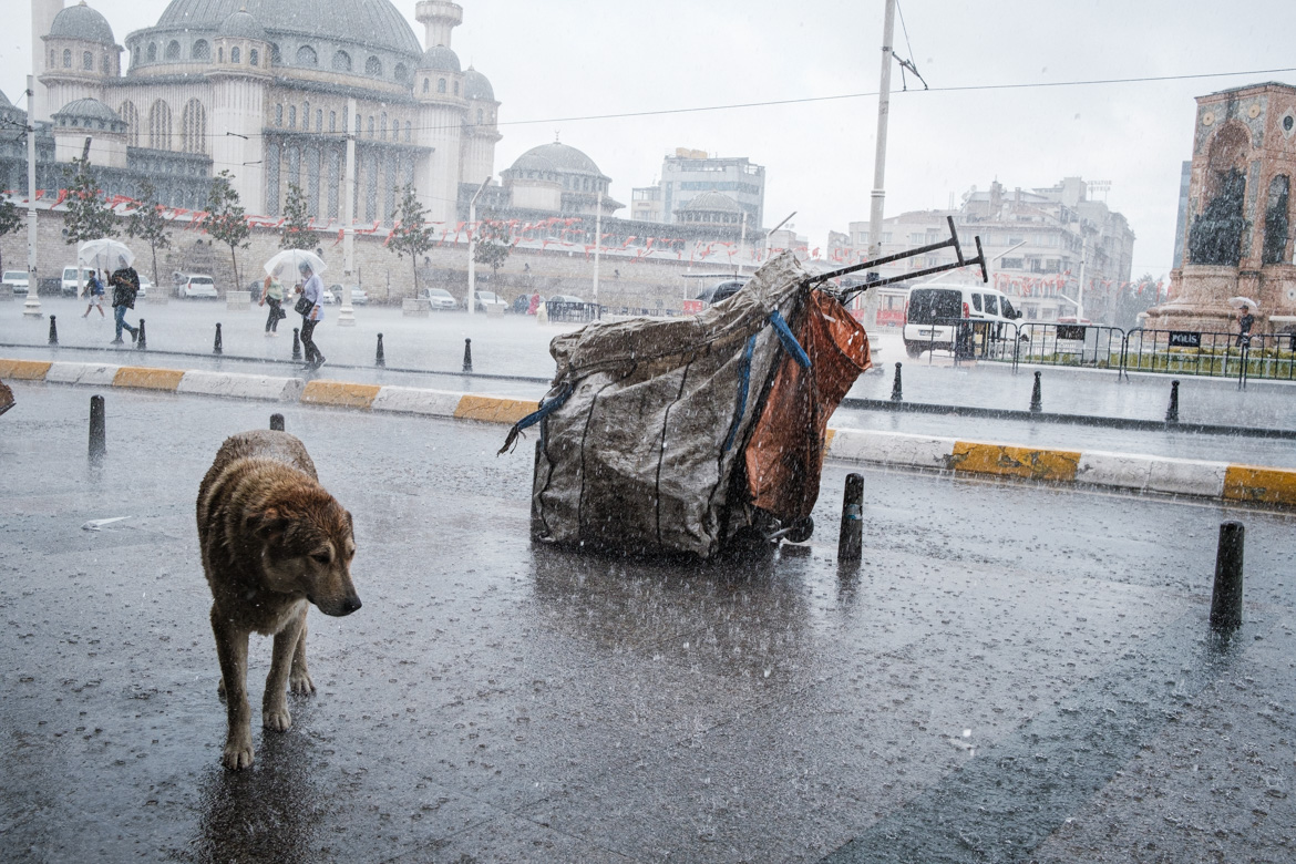 ISTANBUL_by_Manolo_Ponte-2158